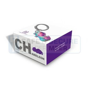 Metalmorphose sleutelhanger kameleon in regenboogkleuren 